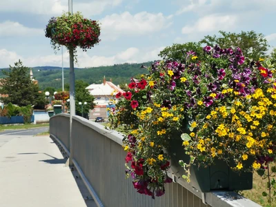 Květinové sloupy a zábradlí - Ivančice