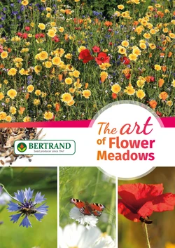 Květinové louky - katalog