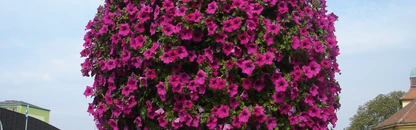 zkrášlení veřejných ploch květinovým mobiliářem