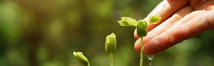 Půdní kondicionéry TerraCottem