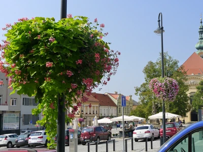 Květinové závěsy - Uherský Brod